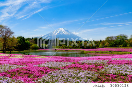 本栖ハイランドの写真素材