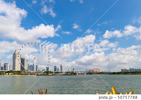 シンガポールフライヤーの写真素材