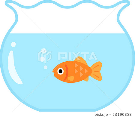 金魚 金魚鉢 かわいい 魚のイラスト素材