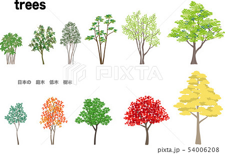 庭木のイラスト素材