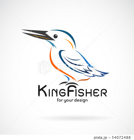 ベクター 鳥 カワセミ 飛ぶのイラスト素材