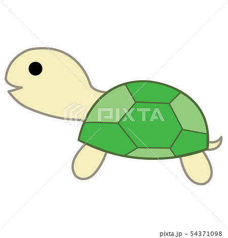 動物のイラスト かめのイラスト素材