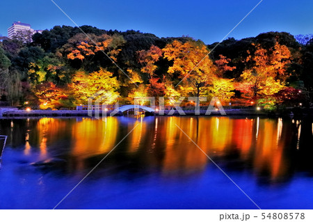 徳川園 紅葉 ライトアップ 水鏡の写真素材