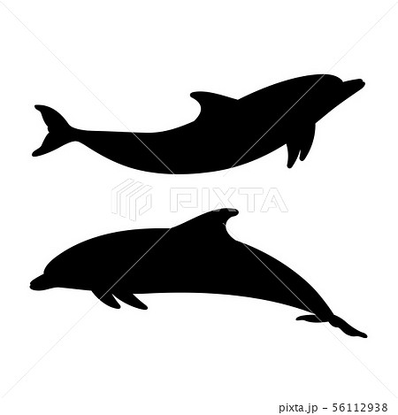 シルエット イルカ ジャンプ イラストのイラスト素材