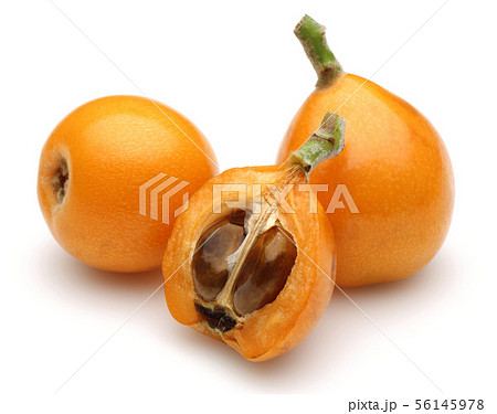 セイヨウカリンの写真素材