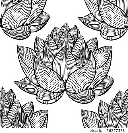 すいれんの花のイラスト素材