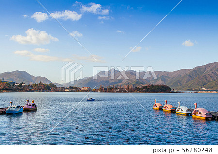 湖 河口湖 スワンボート 白色の写真素材