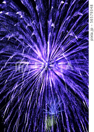 花火 青色の写真素材