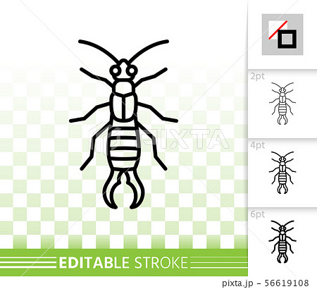 ハサミムシのイラスト素材 ハサミムシのイラスト素材