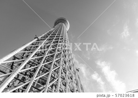 東京 スカイツリー モノクロの写真素材