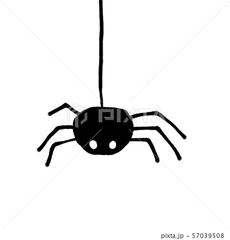 クモ 蜘蛛 のイラスト素材集 ピクスタ