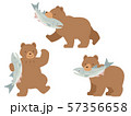 動物 鮭 熊 ヒグマのイラスト素材