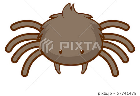 蜘蛛 かわいいのイラスト素材 Pixta
