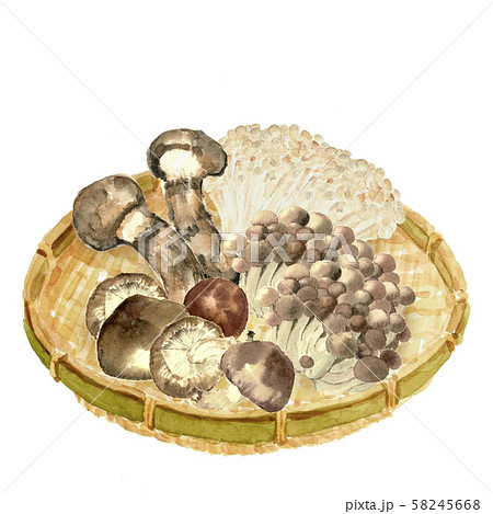 シイタケ 水彩画 食べ物 キノコのイラスト素材 - PIXTA