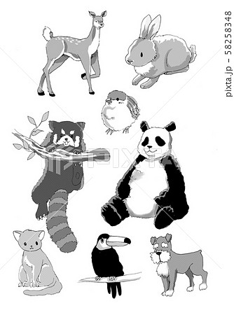 レッサーパンダ かわいいのイラスト素材