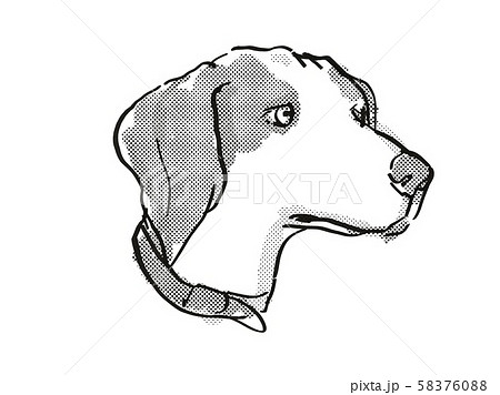 ドット絵 ペット ビーグル犬 ビーグルのイラスト素材