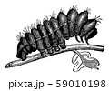 閻魔大王のイラスト素材