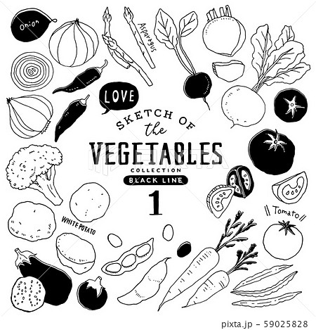 手書き ベクター 野菜 食材のイラスト素材