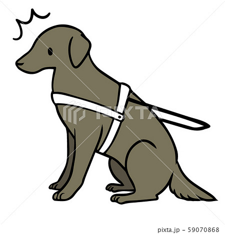 犬 盲導犬 補助犬 ラブラドールレトリバーのイラスト素材