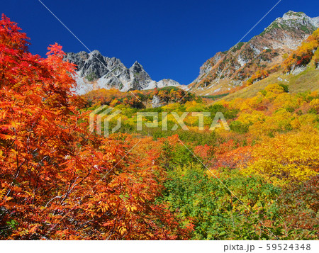 色鮮やかな山の紅葉【北アルプス涸沢】