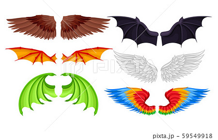 翼 こうもり コウモリ ドラゴンのイラスト素材