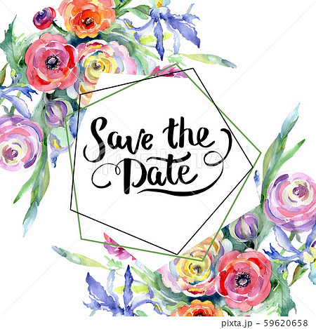 ラナンキュラスのイラスト素材