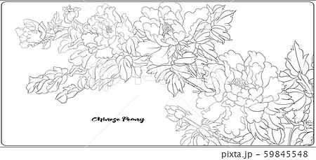 花 韓国 葉 イラストのイラスト素材