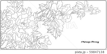 花 韓国 葉 イラストのイラスト素材