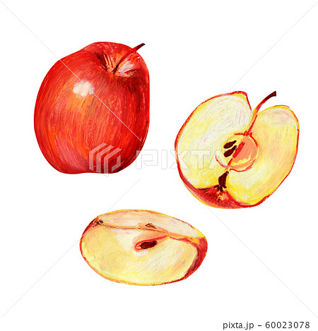 フルーツ 果物 赤 赤色のイラスト素材