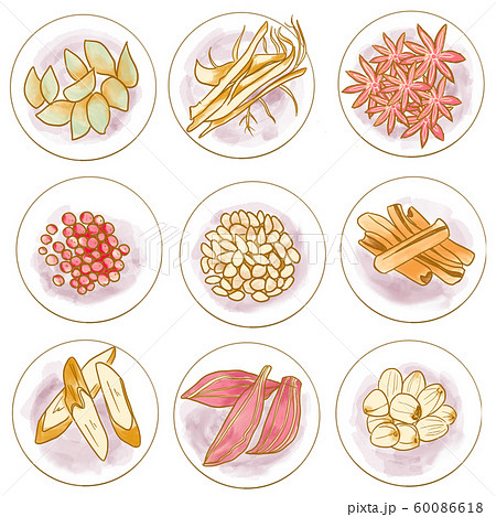漢方薬のイラスト素材