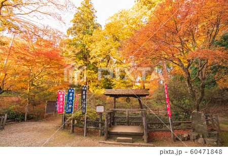 唐沢山城跡の写真素材