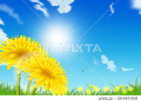 綿毛のイラスト素材