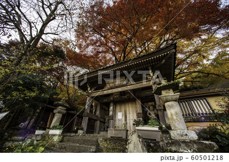 国宝 富貴寺 紅葉 銀杏の写真素材