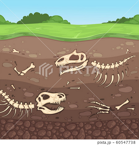 恐竜 化石 土地 地層のイラスト素材