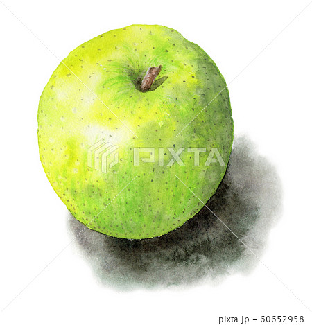 青森りんごのイラスト素材
