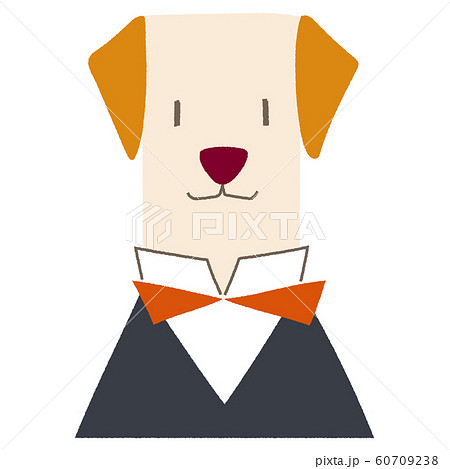犬 動物 キャラクター 笑顔のイラスト素材