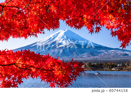 11月イメージの写真素材