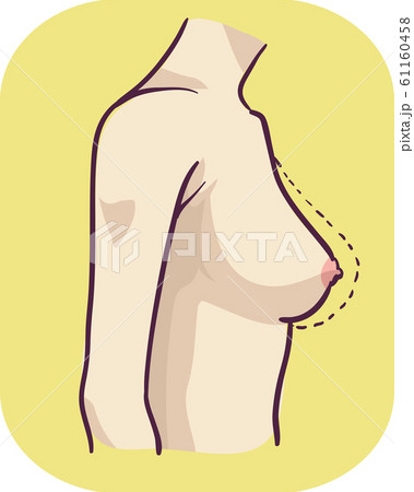 Breast shapes vector illustration