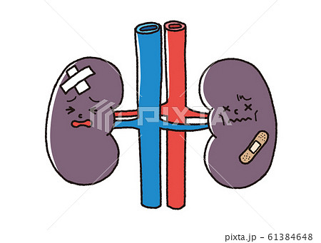 腎不全のイラスト素材