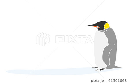 エンペラーペンギン ペンギン くちばしのイラスト素材