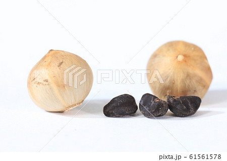 あさがおの種 殻の写真素材