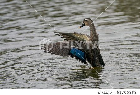 決定的瞬間の写真素材
