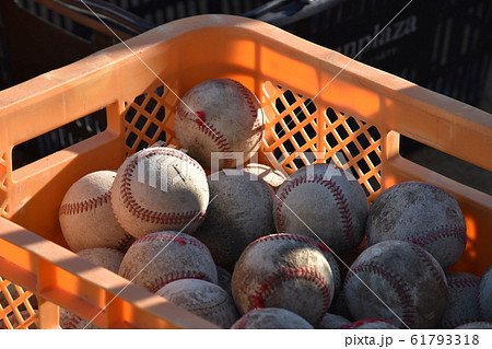 ボール 硬球 かご 野球の写真素材