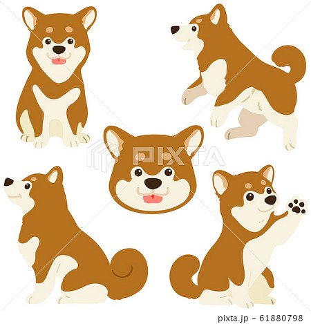 日本犬のイラスト素材