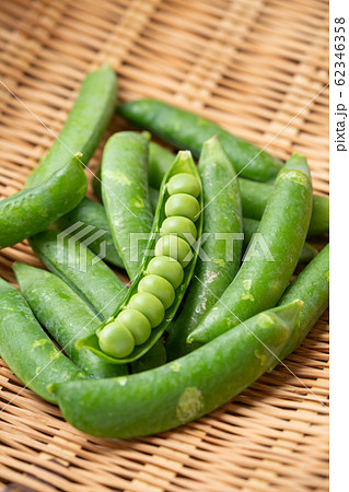 エンドウ豆の写真素材