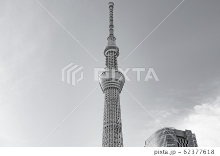 東京スカイツリー 風景 白黒 モノクロームの写真素材