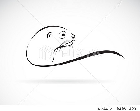 カワウソ 顔のイラスト素材
