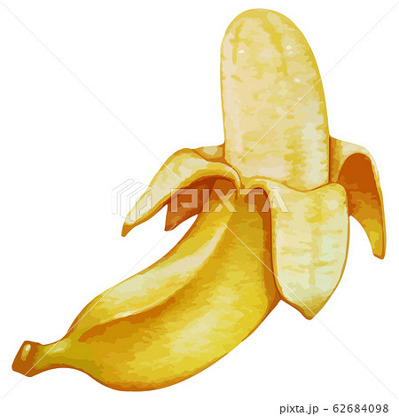 ｂａｎａｎａのイラスト素材