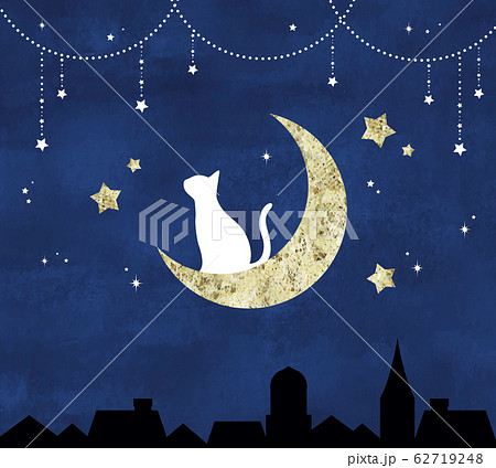 月 星空 猫 夜空のイラスト素材
