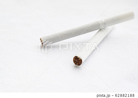 葉タバコの写真素材